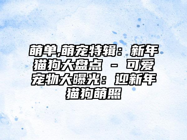 萌单,萌宠特辑:新年猫狗大盘点 - 可爱宠物大曝光:迎新年猫狗萌照
