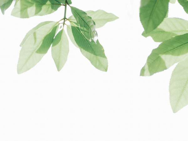 传奇三国手游攻略，想玩传世三国啊求大神给个攻略