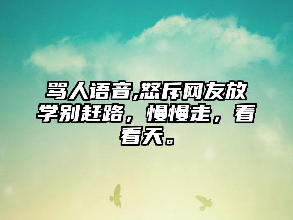 骂人语音,怒斥网友放学别赶路，慢慢走，看看天。