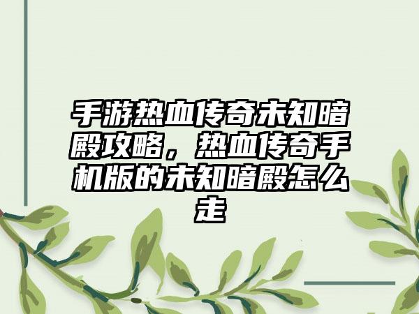 手游热血传奇未知暗殿攻略，热血传奇手机版的未知暗殿怎么走