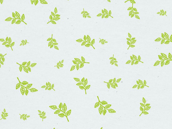 天使女神，天使和女神的区别都是什么