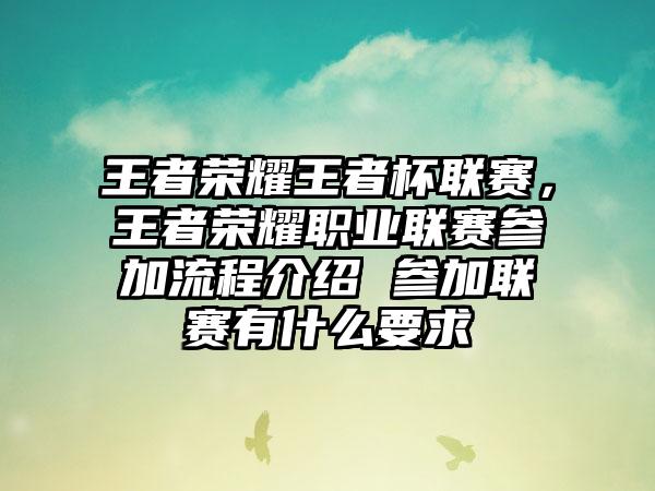 王者荣耀王者杯联赛，王者荣耀职业联赛参加流程介绍 参加联赛有什么要求