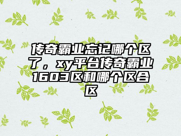 传奇霸业忘记哪个区了，xy平台传奇霸业1603区和哪个区合区