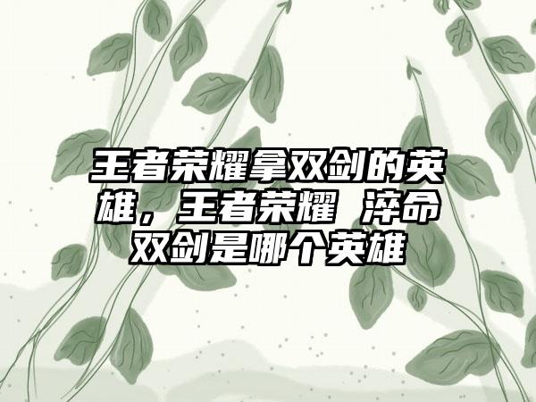 王者荣耀拿双剑的英雄，王者荣耀 淬命双剑是哪个英雄