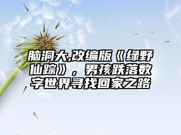 脑洞大,改编版《绿野仙踪》，男孩跌落数字世界寻找回家之路