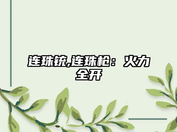 连珠铳,连珠枪：火力全开
