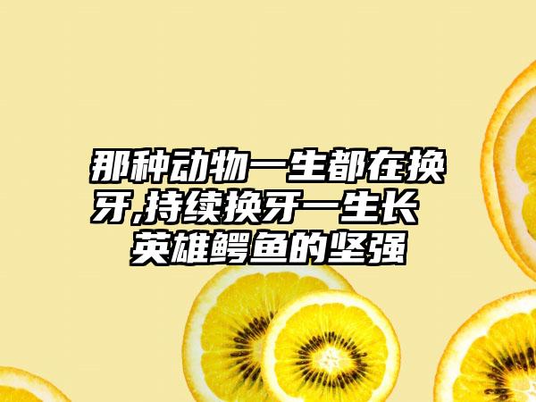 那种动物一生都在换牙,持续换牙一生长 英雄鳄鱼的坚强