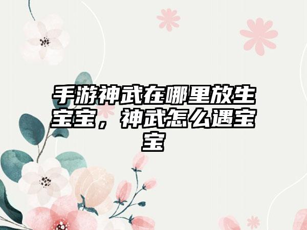 手游神武在哪里放生宝宝，神武怎么遇宝宝