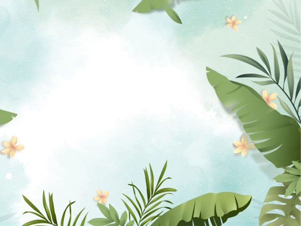 l ol的什么法师好,世界ol法师20个技能学什么