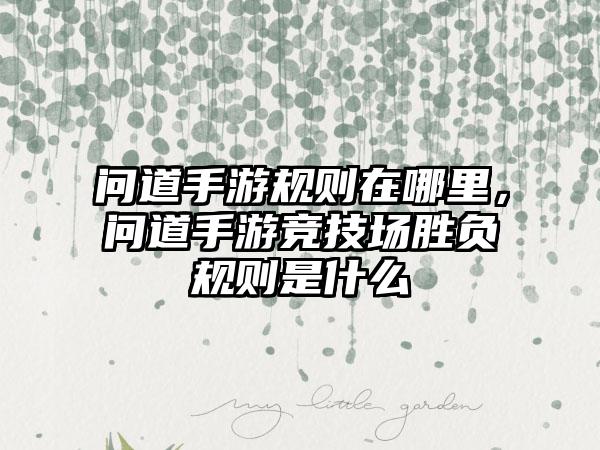 问道手游规则在哪里，问道手游竞技场胜负规则是什么