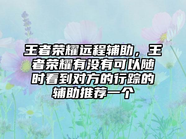 王者荣耀远程辅助，王者荣耀有没有可以随时看到对方的行踪的辅助推荐一个
