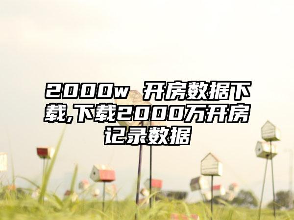 2000w 开房数据下载,下载2000万开房记录数据