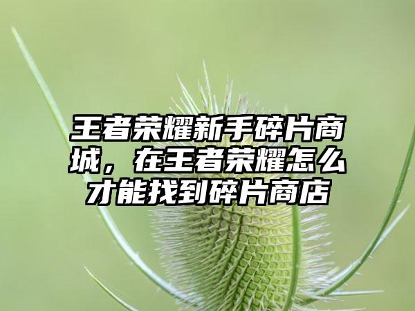 王者荣耀新手碎片商城，在王者荣耀怎么才能找到碎片商店