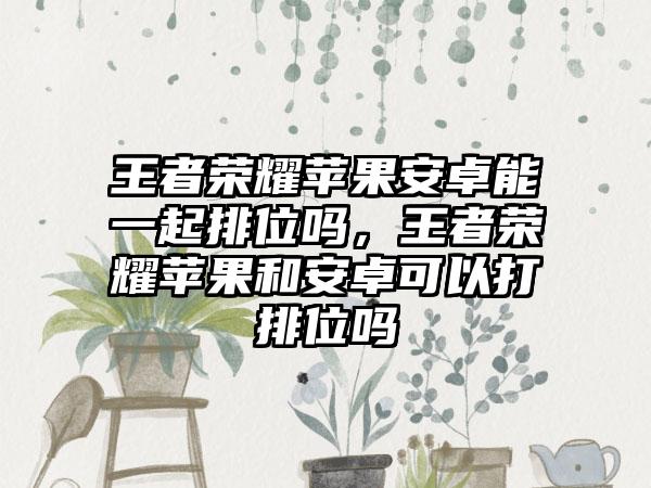 王者荣耀苹果安卓能一起排位吗,王者荣耀苹果和安卓可以打排位吗