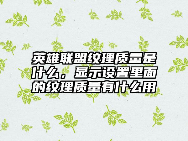 英雄联盟纹理质量是什么，显示设置里面的纹理质量有什么用