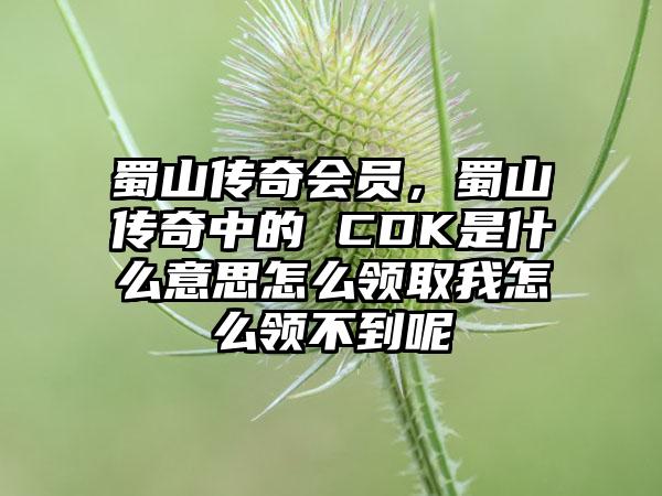蜀山传奇会员,蜀山传奇中的 CDK是什么意思怎么领取我怎么领不到呢