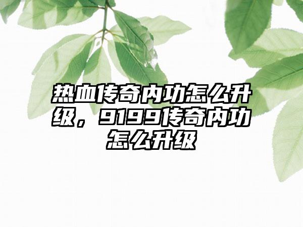 热血传奇内功怎么升级，9199传奇内功怎么升级