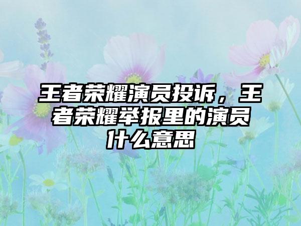 王者荣耀演员投诉，王者荣耀举报里的演员什么意思
