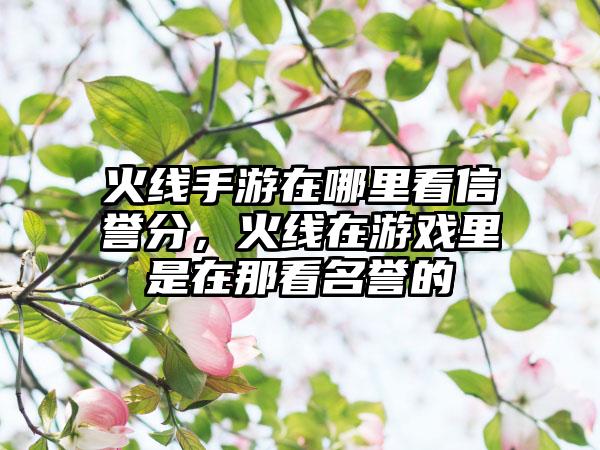 火线手游在哪里看信誉分，火线在游戏里是在那看名誉的