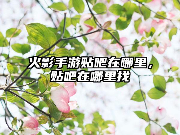 火影手游贴吧在哪里，贴吧在哪里找