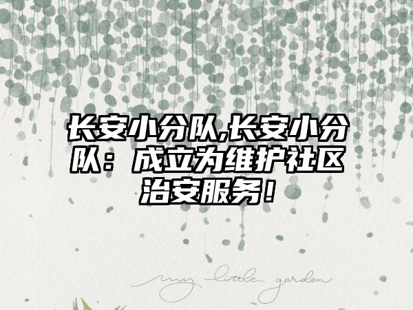 长安小分队,长安小分队：成立为维护社区治安服务！