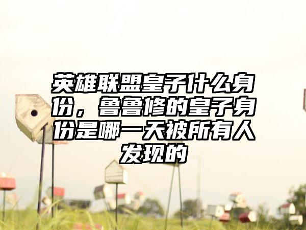 英雄联盟皇子什么身份，鲁鲁修的皇子身份是哪一天被所有人发现的