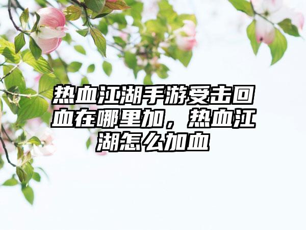 热血江湖手游受击回血在哪里加，热血江湖怎么加血