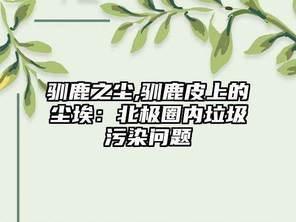 驯鹿之尘,驯鹿皮上的尘埃：北极圈内垃圾污染问题