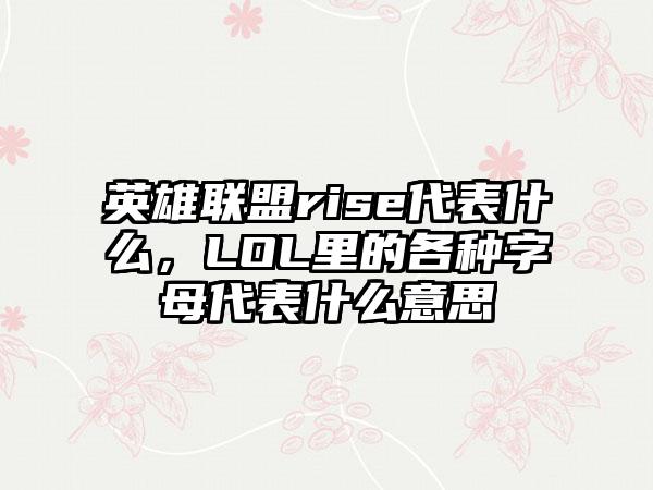 英雄联盟rise代表什么，LOL里的各种字母代表什么意思