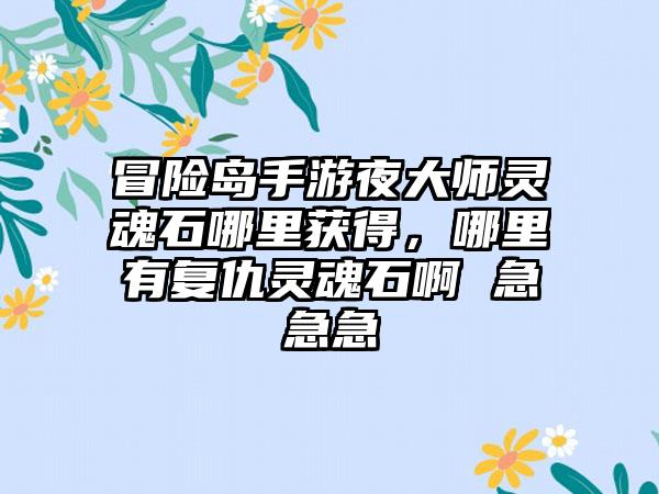 冒险岛手游夜大师灵魂石哪里获得,哪里有复仇灵魂石啊 急急急