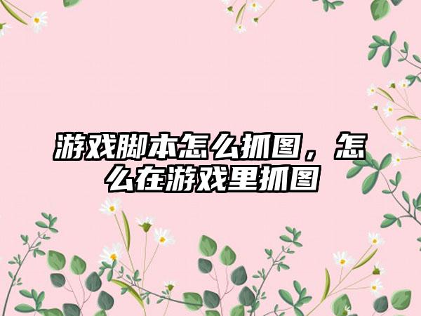 游戏脚本怎么抓图，怎么在游戏里抓图