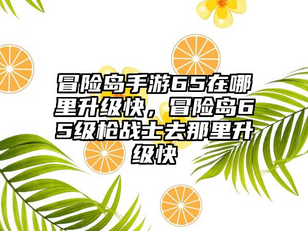 冒险岛手游65在哪里升级快，冒险岛65级枪战士去那里升级快