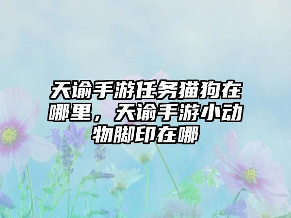 天谕手游任务猫狗在哪里，天谕手游小动物脚印在哪