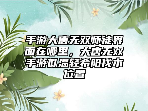 手游大唐无双师徒界面在哪里,大唐无双手游似温轻希阳伐木位置