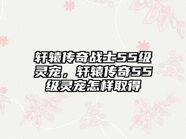 轩辕传奇战士55级灵宠，轩辕传奇55级灵宠怎样取得