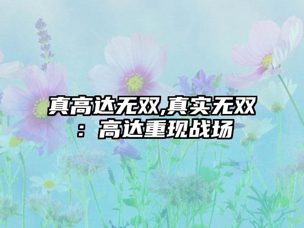 真高达无双,真实无双：高达重现战场