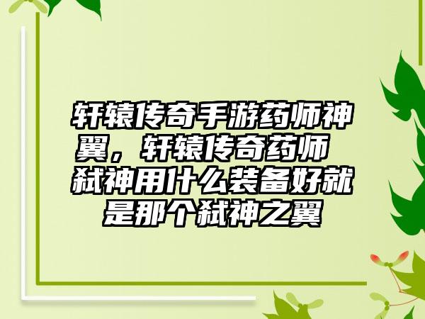 轩辕传奇手游药师神翼，轩辕传奇药师 弑神用什么装备好就是那个弑神之翼