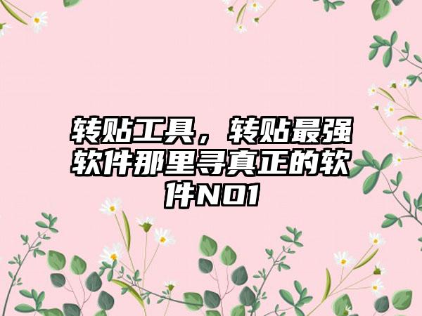 转贴工具，转贴最强软件那里寻真正的软件NO1