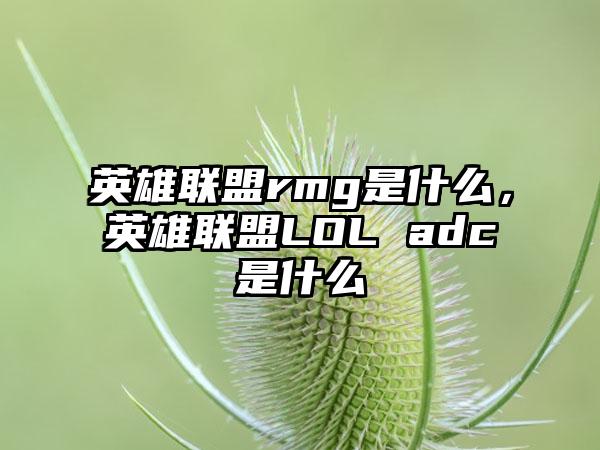 英雄联盟rmg是什么，英雄联盟LOL adc是什么