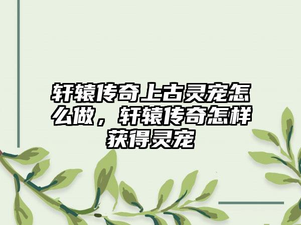 轩辕传奇上古灵宠怎么做，轩辕传奇怎样获得灵宠