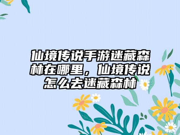仙境传说手游迷藏森林在哪里，仙境传说怎么去迷藏森林