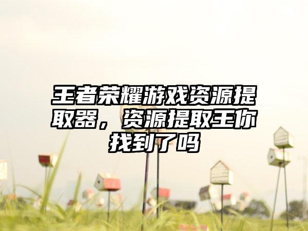 王者荣耀游戏资源提取器，资源提取王你找到了吗
