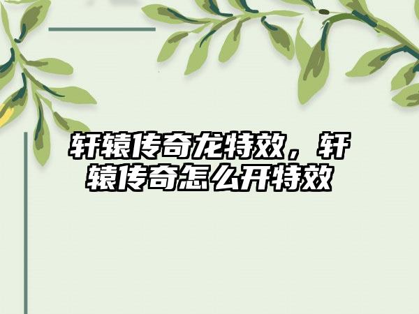 轩辕传奇龙特效，轩辕传奇怎么开特效