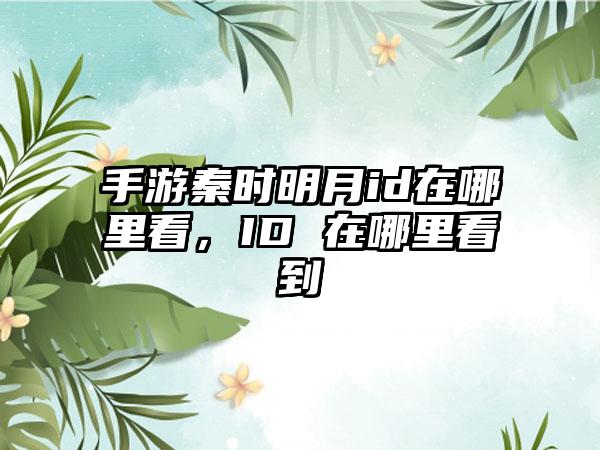 手游秦时明月id在哪里看，ID 在哪里看到