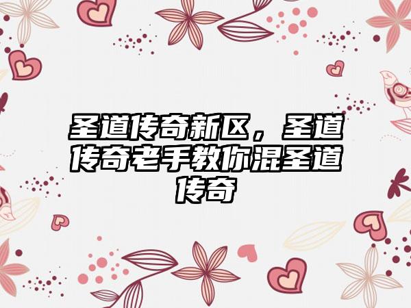 圣道传奇新区，圣道传奇老手教你混圣道传奇