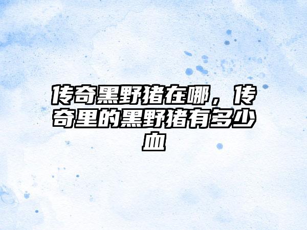 传奇黑野猪在哪，传奇里的黑野猪有多少血