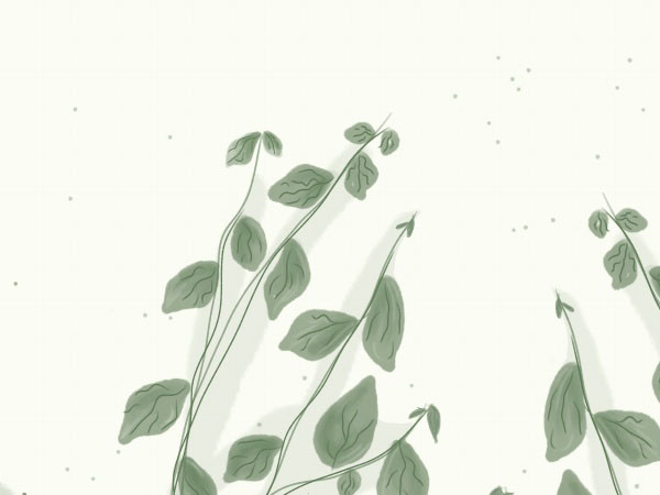 神武手游成就怎么刷(神武手游刷成就)