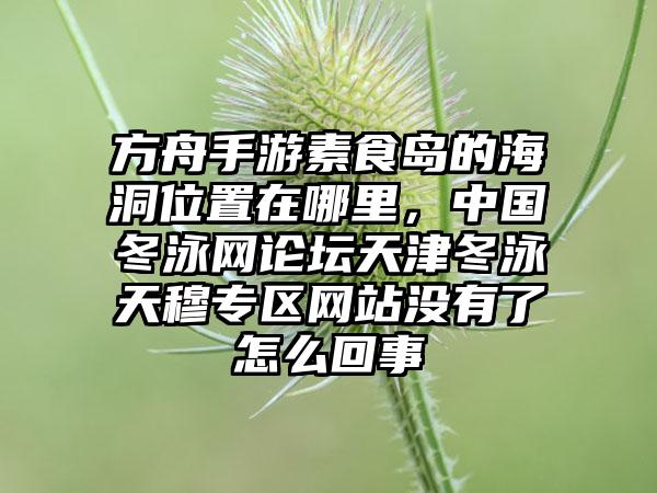 方舟手游素食岛的海洞位置在哪里，中国冬泳网论坛天津冬泳天穆专区网站没有了怎么回事