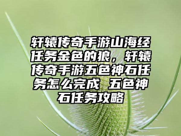 轩辕传奇手游山海经任务金色的狼，轩辕传奇手游五色神石任务怎么完成 五色神石任务攻略