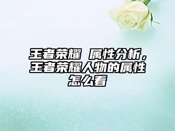 王者荣耀 属性分析，王者荣耀人物的属性怎么看